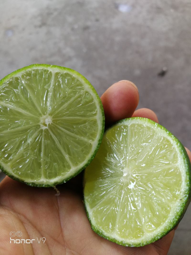 越南无籽柠檬，规格5-6个一斤，有量，诚信交易欢迎来订