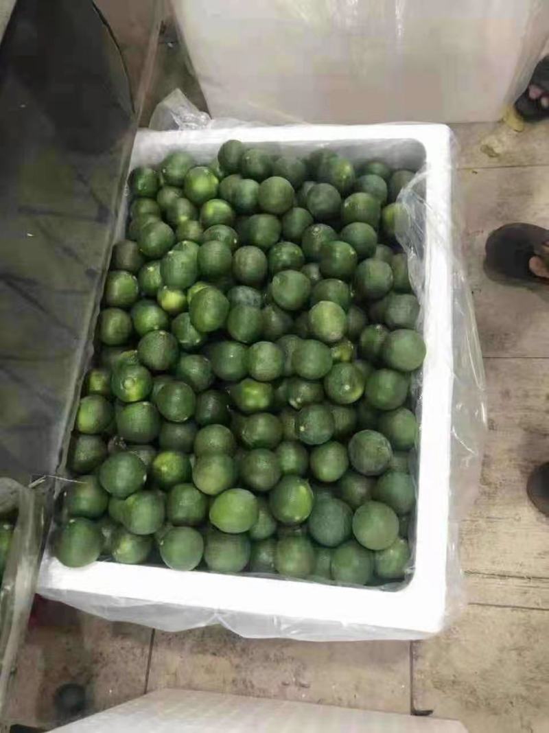 越南无籽柠檬，规格5-6个一斤，有量，诚信交易欢迎来订