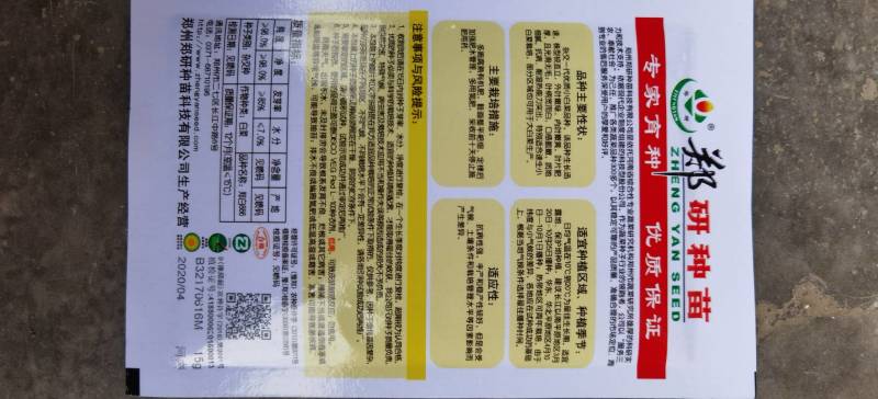 ［推荐］快菜种子，耐热叶色绿，耐薯性强，生长速度快