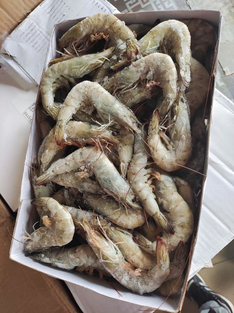 盐冻对虾南美白对虾酒店用虾特大