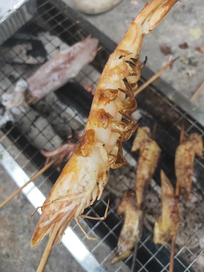 盐冻对虾南美白对虾酒店用虾特大