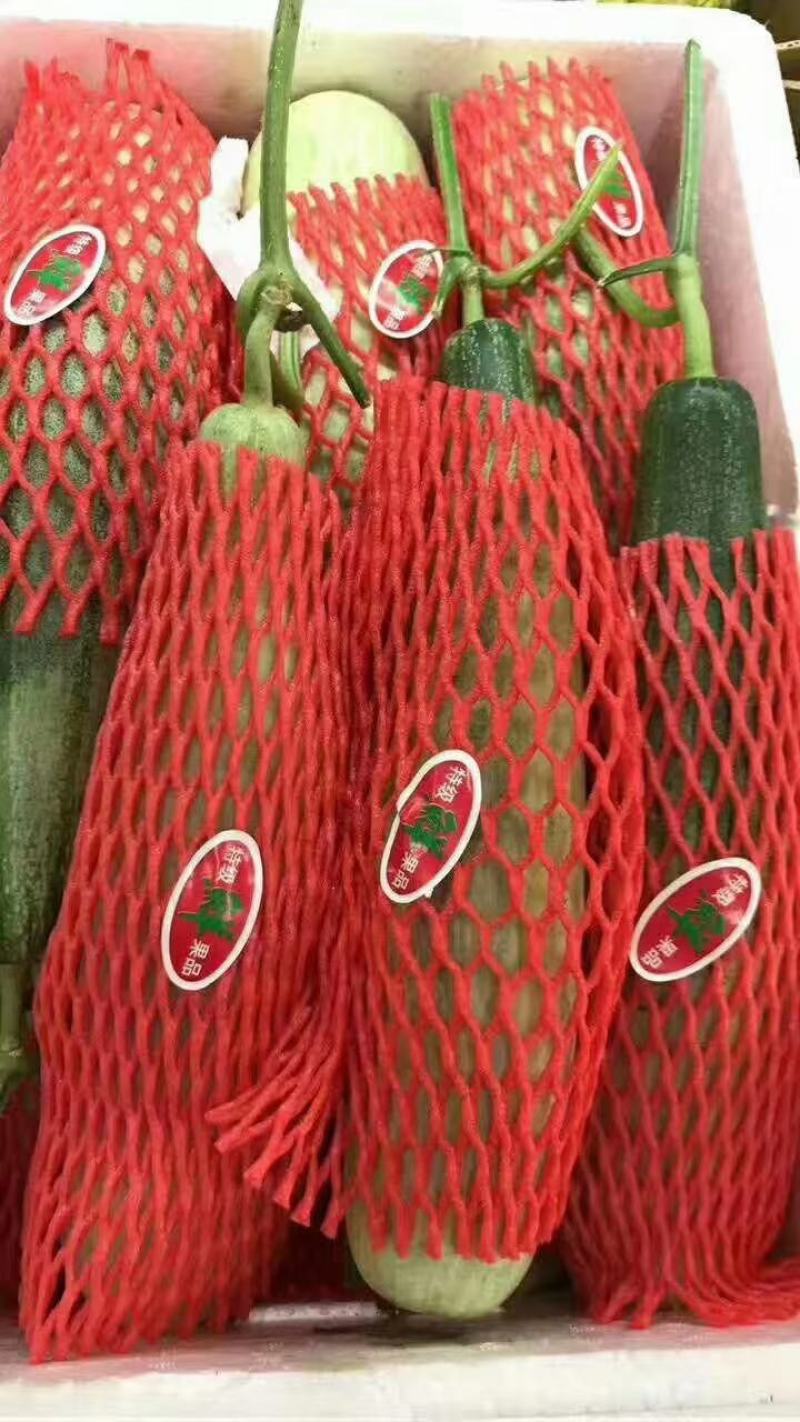 山东潍坊羊角蜜甜瓜大量上市价格便宜，货源充足，质量保证