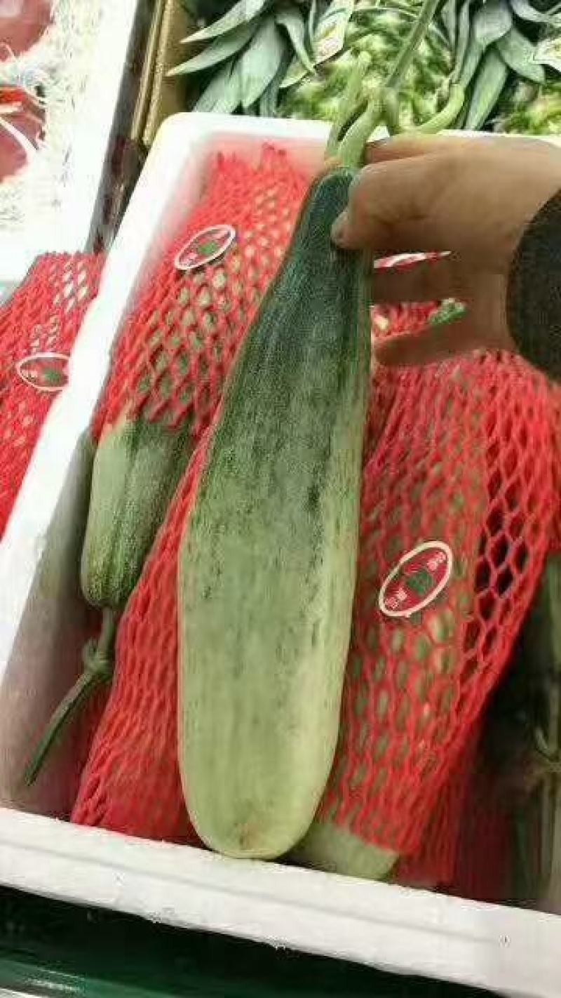 山东潍坊羊角蜜甜瓜大量上市价格便宜，货源充足，质量保证