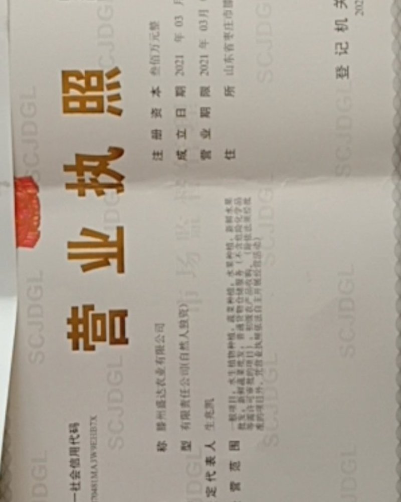 山东省滕州市黄皮黄心的漫长型荷兰十五土豆二级种薯