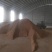 压缩稻壳散装稻壳常年大量供应信阳市光山县发货