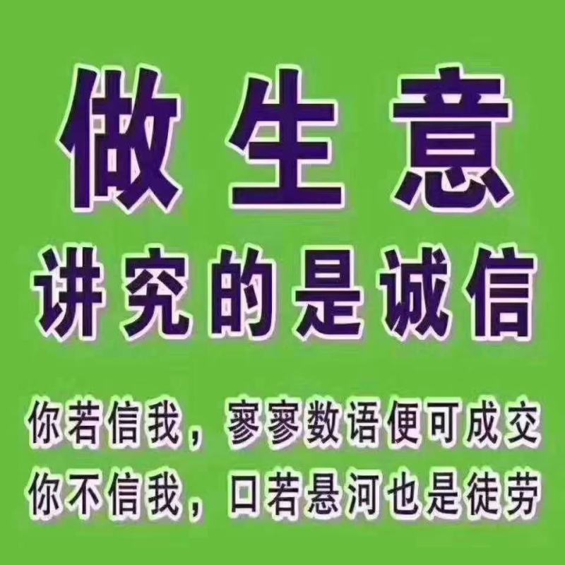 河北省乐亭县有万亩棚桃大量上市欢迎新朋友前来合作
