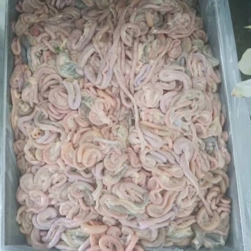 鸡肠，鸡副，鸡分割，鸡产品，适合厂家，饲料