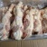 鸡肠，鸡副，鸡分割，鸡产品，适合厂家，饲料