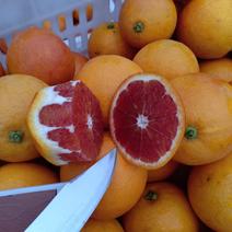 重庆开州塔罗科血橙，玫瑰血橙，物美价廉，含有花青素