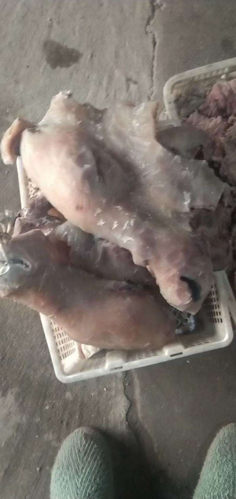 大块颜色纯正好吃的剔骨肉纯干去骨黄牛蹄