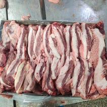 山东母猪槽头肉，品质保证厂家直销可视频欢迎咨询