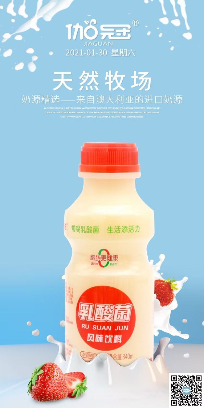 乳酸菌、益生菌源头厂家销售旺季抓紧时间联系