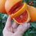 【一件代发】塔罗科4号7号血橙自己基地种植现摘现发
