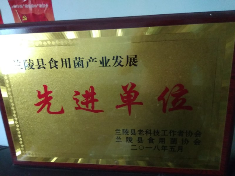 山东盛达菌业供应草菇母种原种栽培种