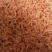 虾仁。地摊。展会。。。