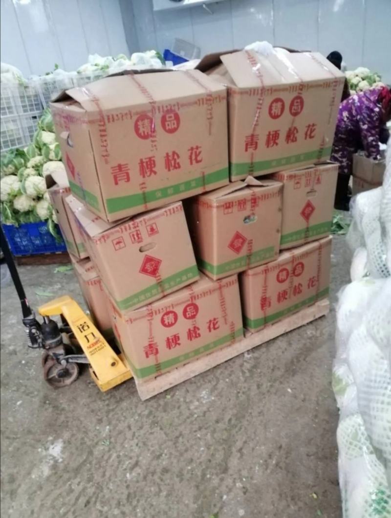 实花松花大量上市，提供各种包装，代办代发，发货各地市场