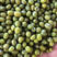 绿豆，明绿豆，毛绿豆，毛杂，东北绿豆，欧洲绿豆，缅甸绿豆