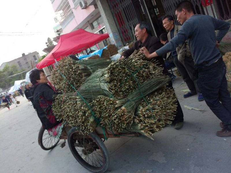 粽叶批发，温州乐清这边可以送货上门，批发的价格