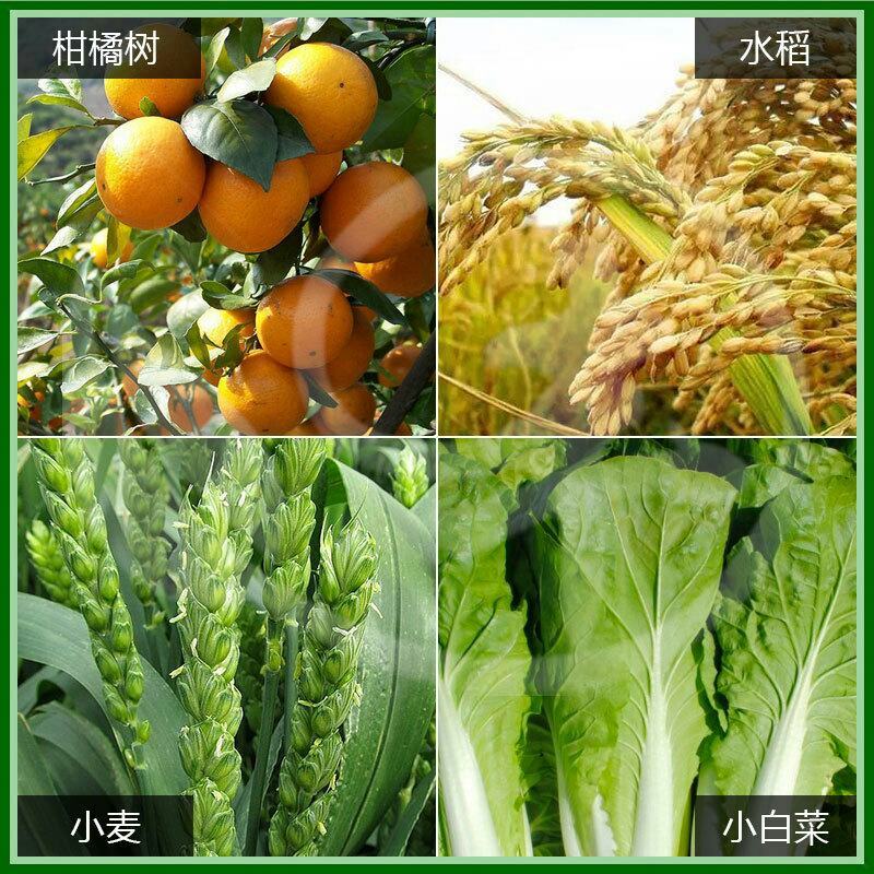 四友病毒A吗呱乙酸铜番茄烟草芹菜病毒病细菌性病害杀菌