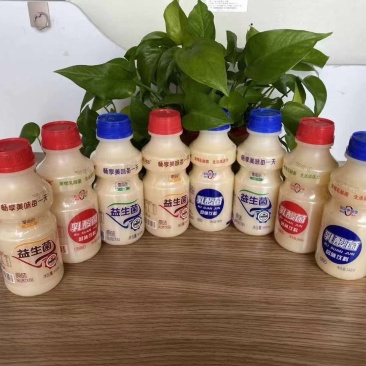 乳酸菌源头厂家旺季已到抓紧时间订货赚钱拼的就是手速