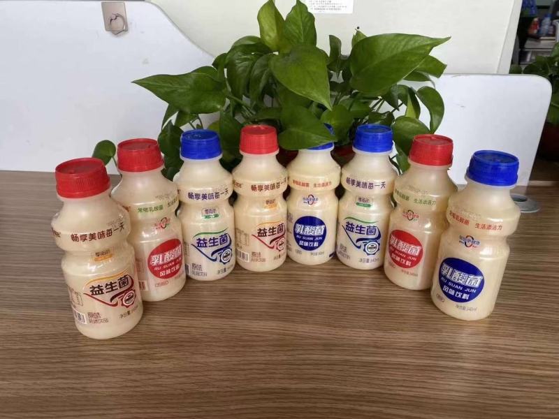 乳酸菌源头厂家旺季已到抓紧时间订货赚钱拼的就是手速