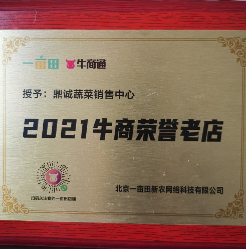 大白菜精品，质量保证，诚信经营，优惠上市中！！！