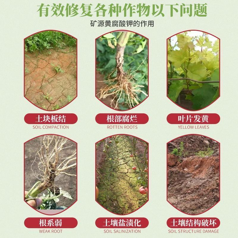 矿源黄腐酸钾复合肥冲施肥叶面肥腐殖酸蔬果通用水溶肥料农用