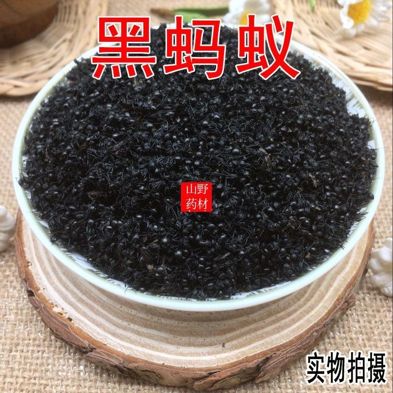 云南药材大黑蚂蚁蚂蚁干拟黑多刺蚁泡酒料250g包邮