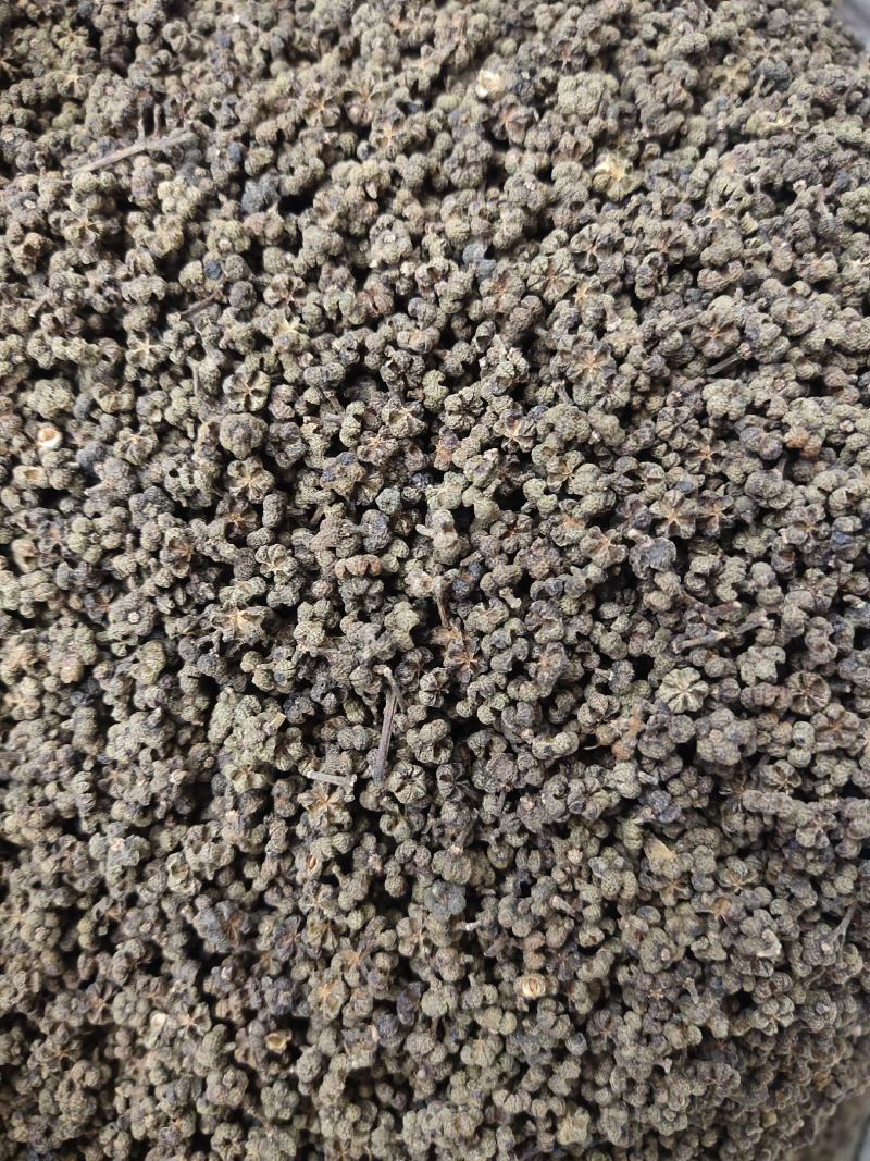 吴茱萸茶辣漆辣子吴茱芋米辣子臭辣子大中小花都有