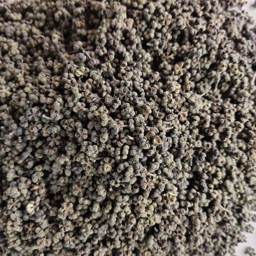 吴茱萸茶辣漆辣子吴茱芋米辣子臭辣子大中小花都有