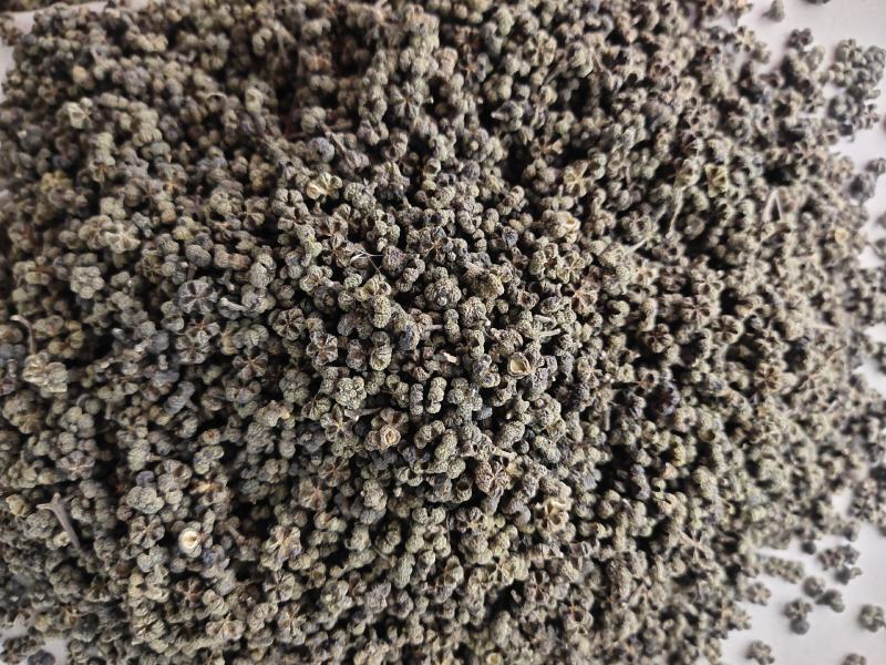 吴茱萸茶辣漆辣子吴茱芋米辣子臭辣子大中小花都有