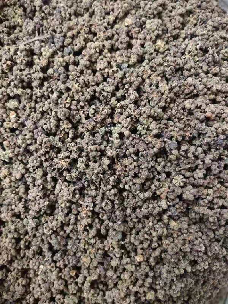 吴茱萸茶辣漆辣子吴茱芋米辣子臭辣子大中小花都有
