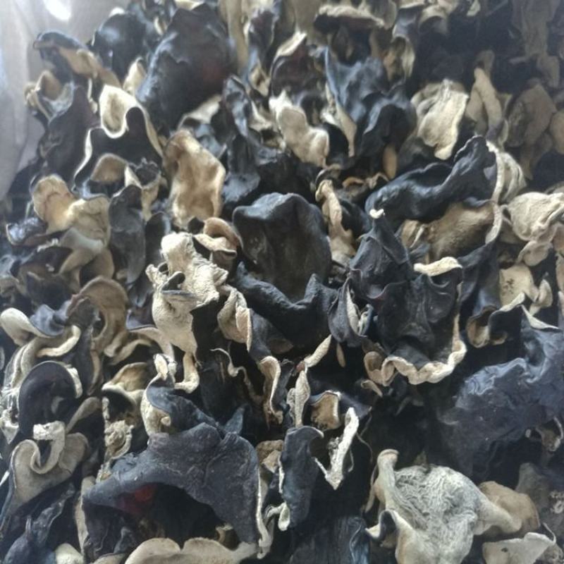 优质毛木耳，泡发率高，江湖地摊赶集展销会超市货源