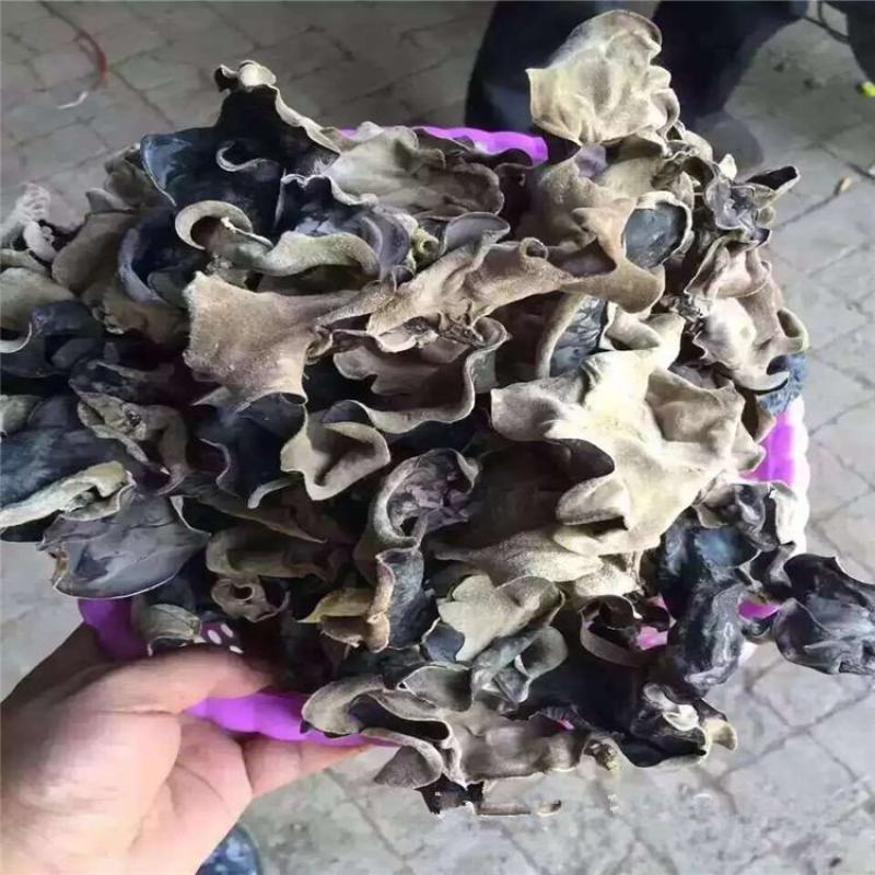 优质毛木耳，泡发率高，江湖地摊赶集展销会超市货源