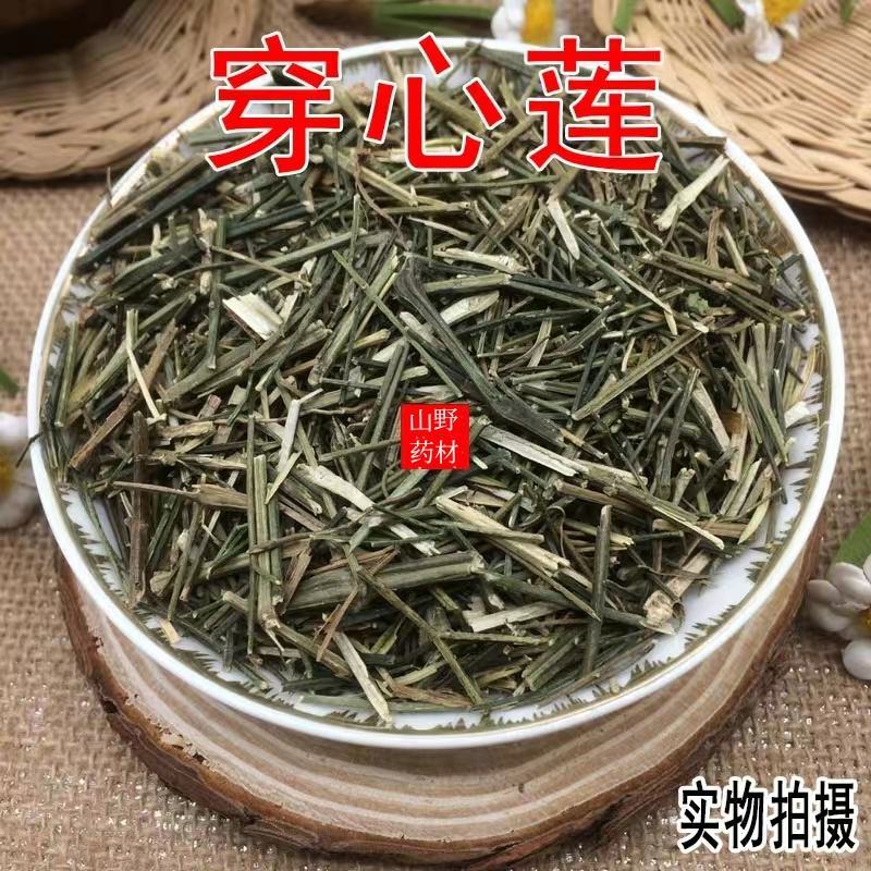 云南野生中药材穿心莲新鲜干货500g包邮11.9