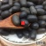 云南中药材双肾子石莲子500g