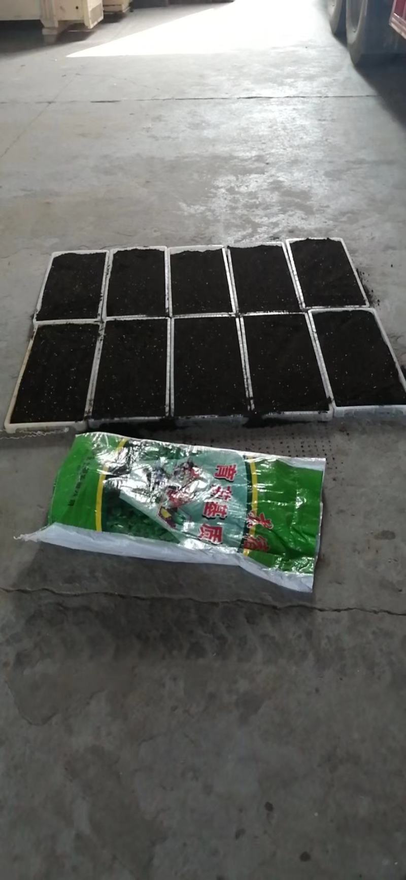 水稻育秧基质机插秧水稻育秧专用基质50升