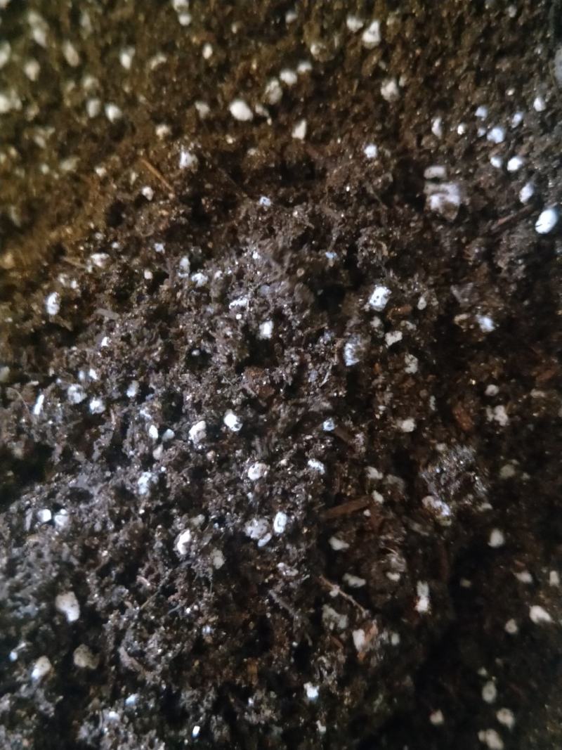 水稻育秧基质机插秧水稻育秧专用基质50升