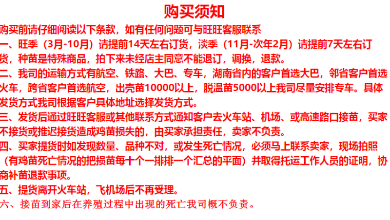 贵妃鸡苗厂家直销鸡苗批发龙头企业