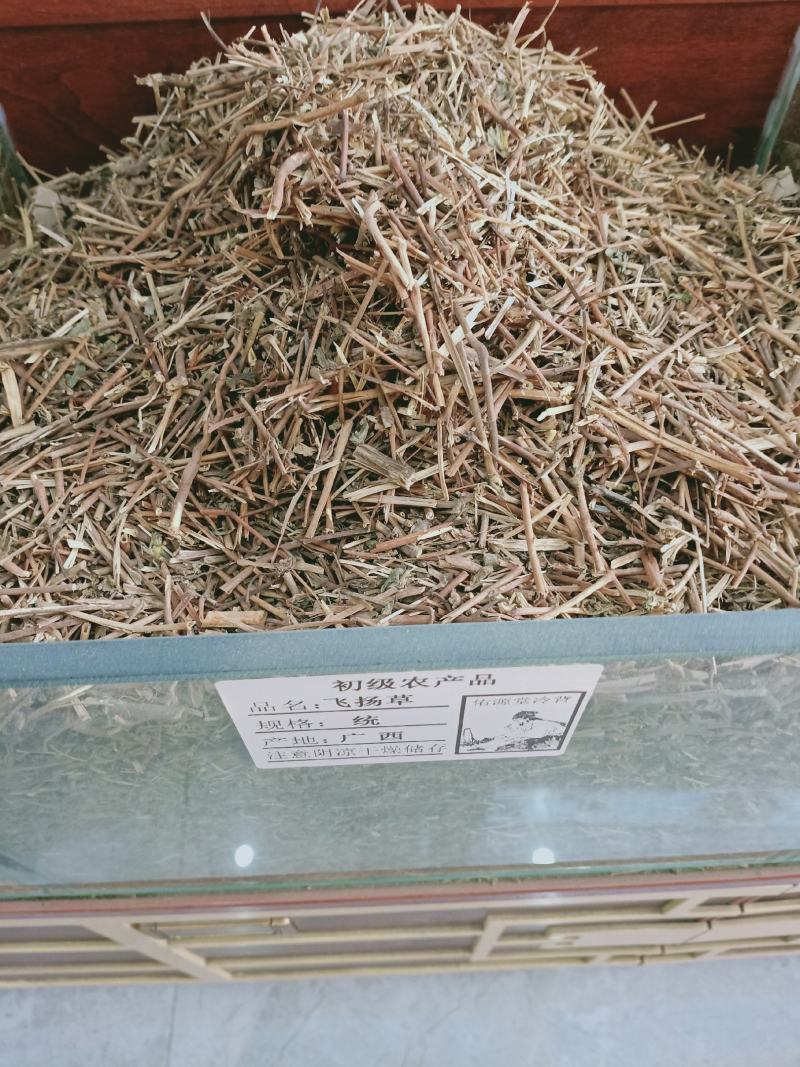 飞扬草，中药材飞扬草质量保证，经营各种中药材欢迎咨询合作