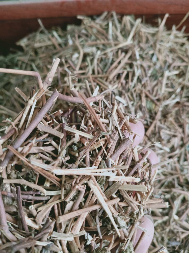 飞扬草，中药材飞扬草质量保证，经营各种中药材欢迎咨询合作