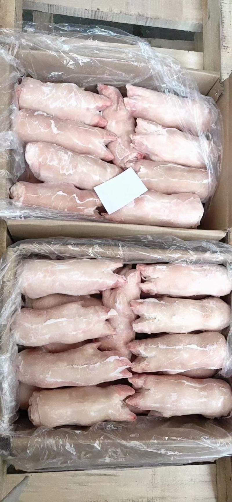 各种猪肉六分体量大从优