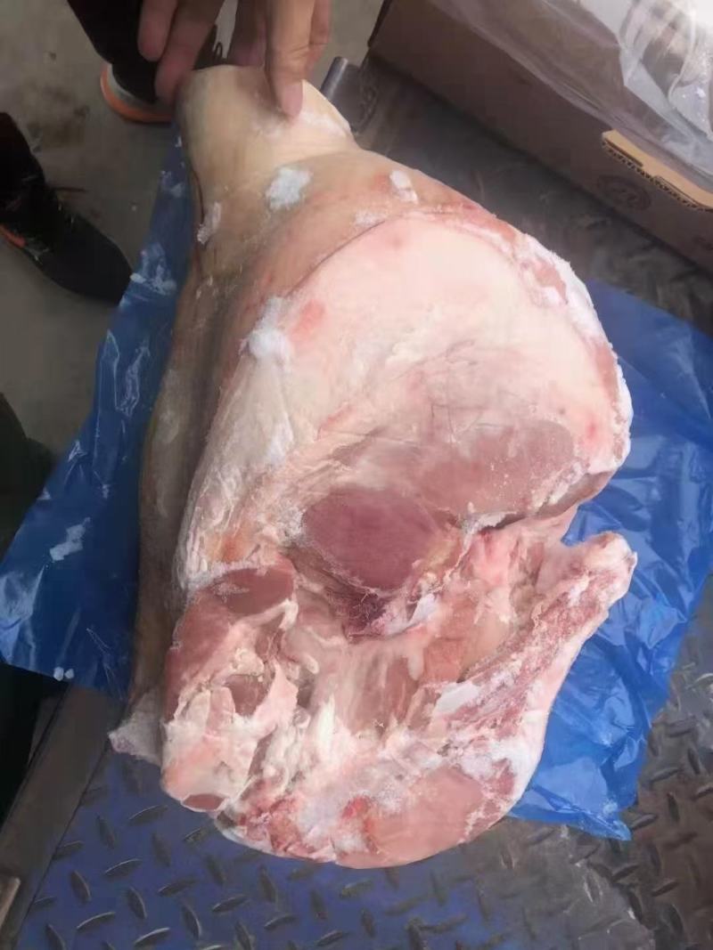 各种猪肉六分体量大从优