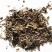 白毛夏枯草散血草正品保障可打粉中药专营品质保证