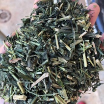穿心莲一见喜榄核莲苦胆草金香草苦草够含量