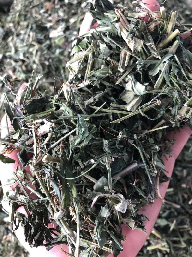 穿心莲一见喜榄核莲苦胆草金香草苦草够含量