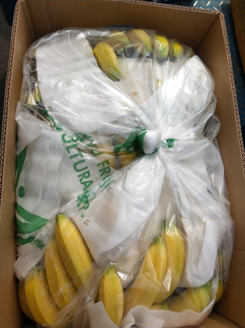 【精选热销】香蕉大量供应各大批发商微商电商自家冷库
