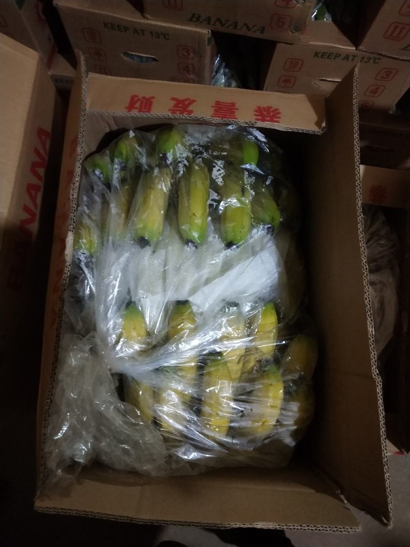【精选热销】香蕉大量供应各大批发商微商电商自家冷库