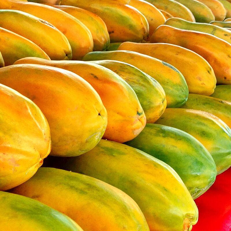 海南红心牛奶木瓜新鲜热带水果产地直发一件代发顺丰包
