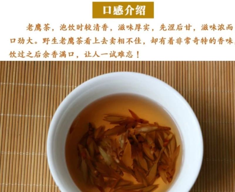 四川深山野生清名节前老鹰茶产地直销，全部是叶尖茶叶